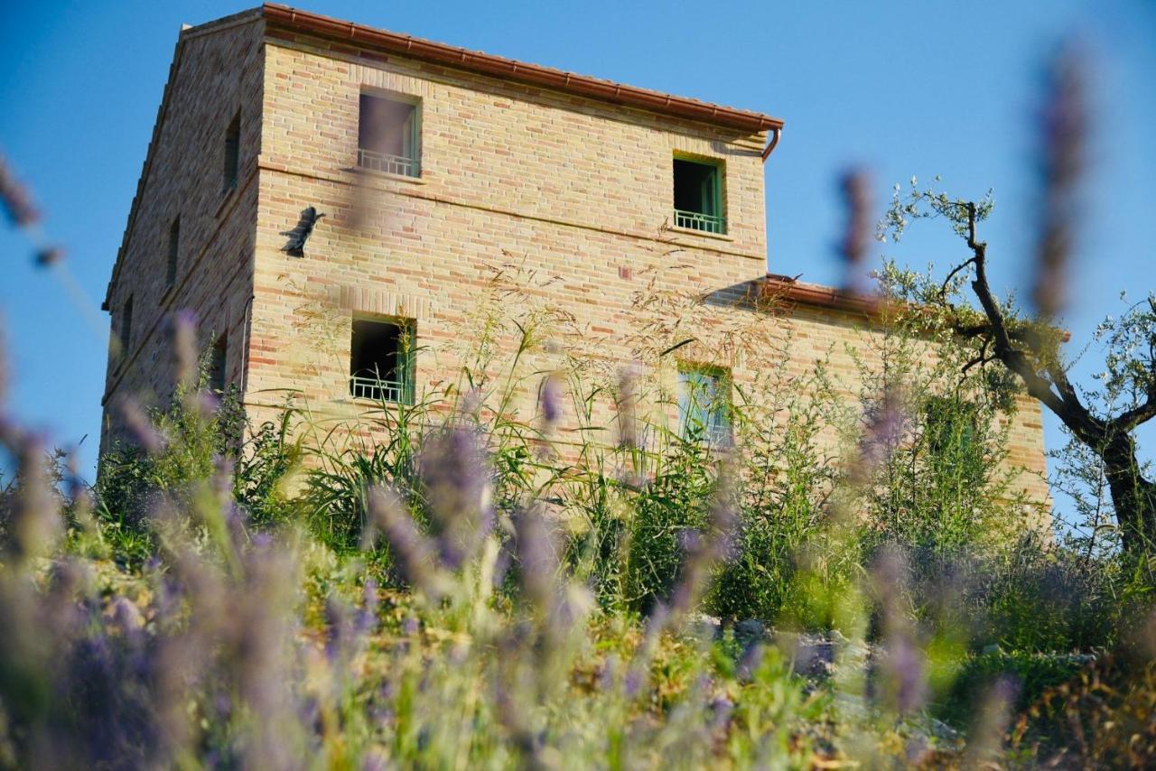 Il Casale Dei Nonni Apartamento Grottazzolina Exterior foto
